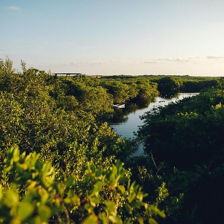 Uman Glamping & Cenote Tulum Hotel ภายนอก รูปภาพ