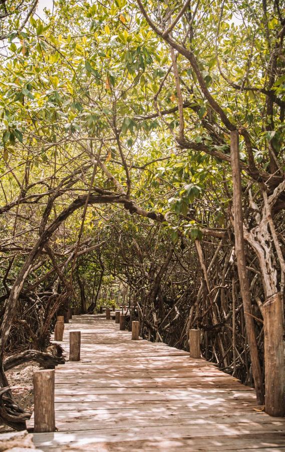 Uman Glamping & Cenote Tulum Hotel ภายนอก รูปภาพ