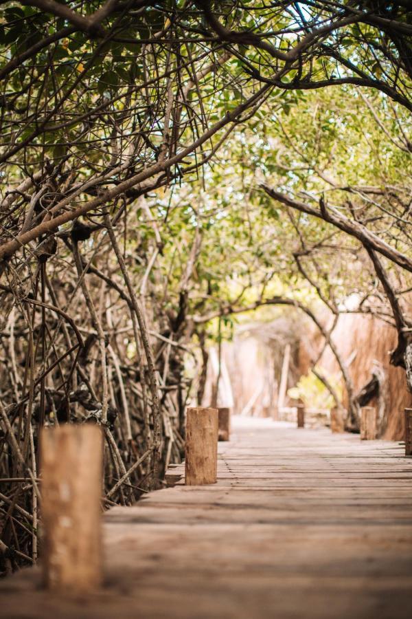 Uman Glamping & Cenote Tulum Hotel ภายนอก รูปภาพ