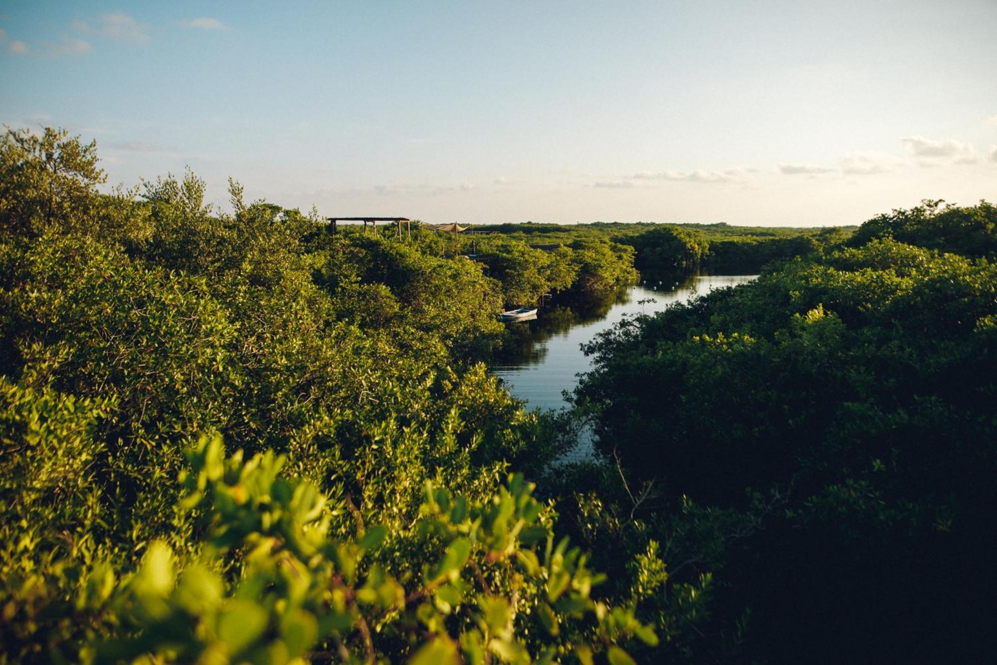 Uman Glamping & Cenote Tulum Hotel ภายนอก รูปภาพ