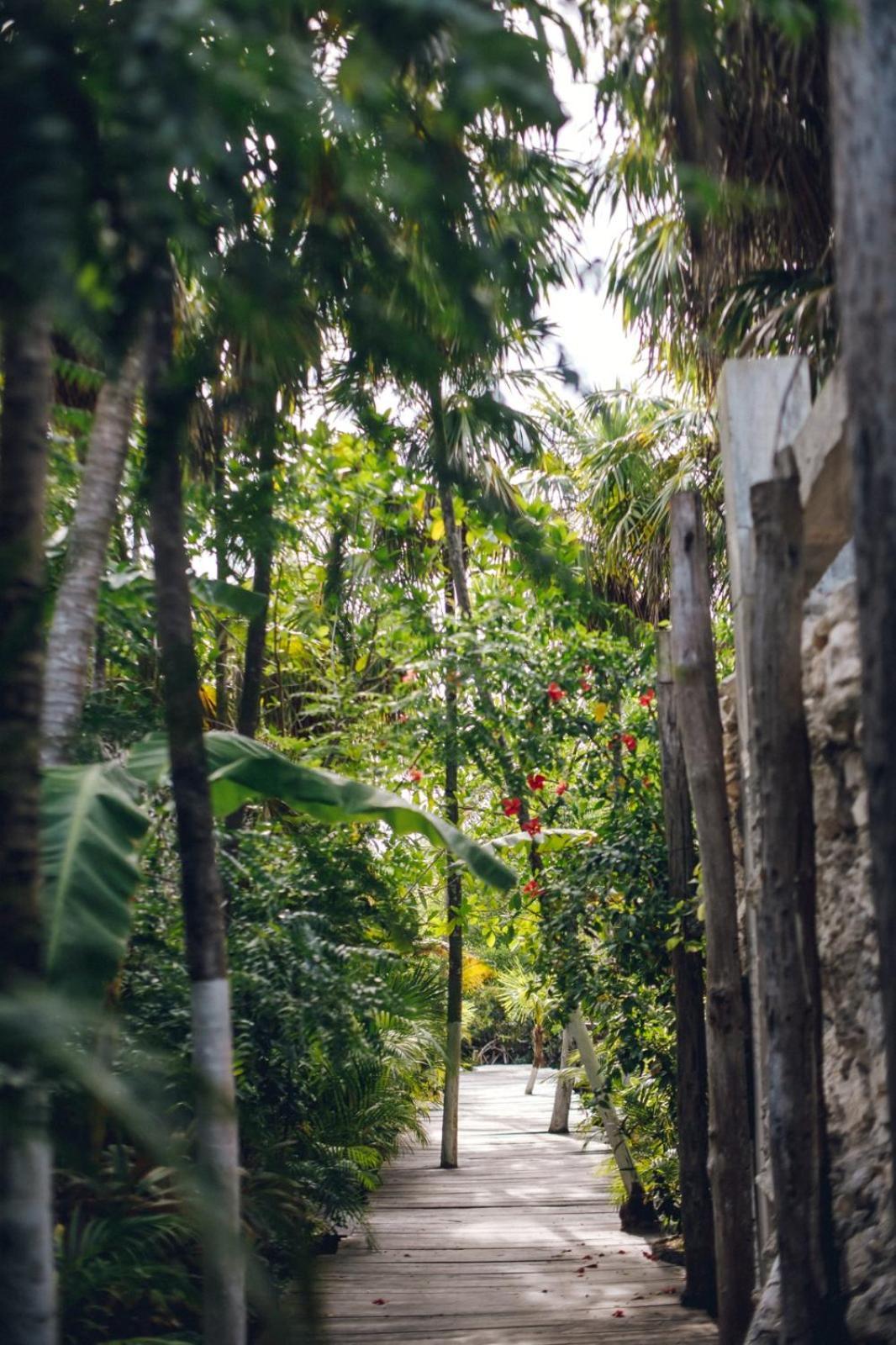 Uman Glamping & Cenote Tulum Hotel ภายนอก รูปภาพ